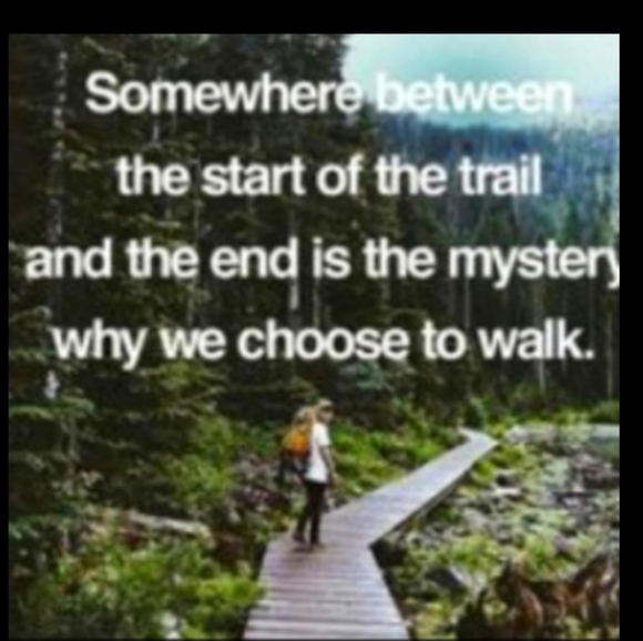 ๐งธ CANADIAN TEDDY BEAR HUDSONโS BAY Olympic Team 2012 Plush Lovable ๐งธ - Picture 13 of 16